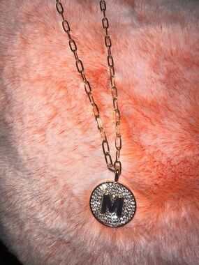NWOT BaubleBar Pavé Initial Pendant Necklace In M